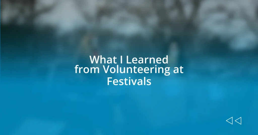 What I Learned from Volunteering at Festivals